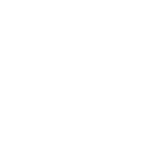 Otttawa Litigation Lawyers - Richardson Hall LLP